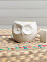 maceta-ceramica-para-plantas-de-interior-maceta-buho-cuidados-de-plantas-decoracion-con-plantas-purificadoras-habibi-plantitas.jpg